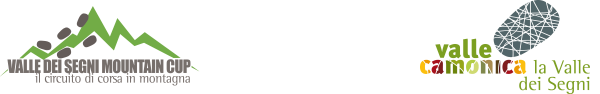 logo vsc21
